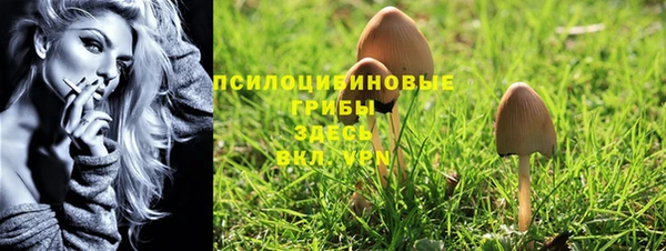 a pvp Володарск