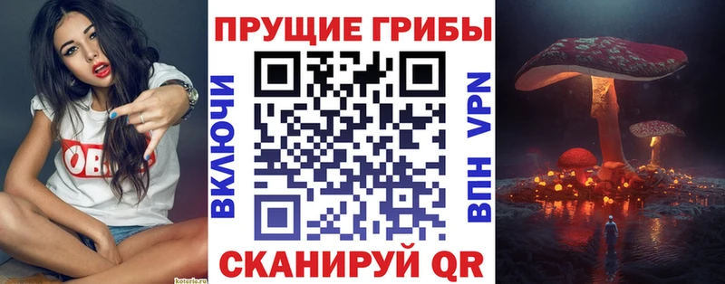 omg сайт  Луза  Галлюциногенные грибы мицелий 