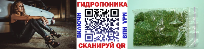 наркотики  Луза  мега онион  Шишки марихуана сатива 